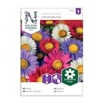 Frö Aster Nelson Garden Enkel Mix