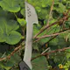 Yxmachete Fiskars Solid