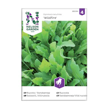 Frö Rucola Sandsenap Nelson Garden Wildfire™