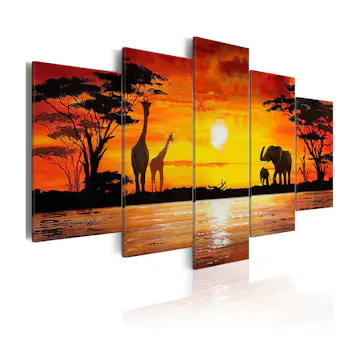 Tavla Arkiio Hot Safari