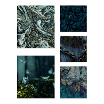 Canvastavla Art For The Home Set av 5 Classic Chique Mystisk 80x60cm