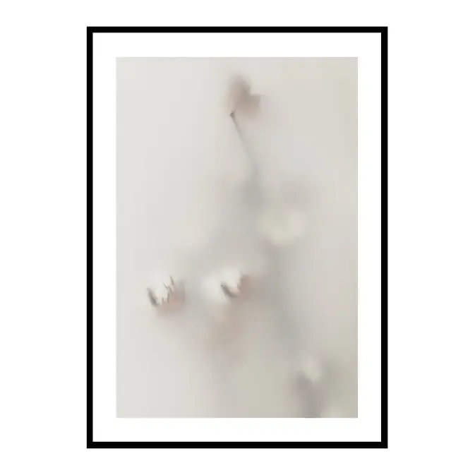 Poster Gallerix Concealed Cotton