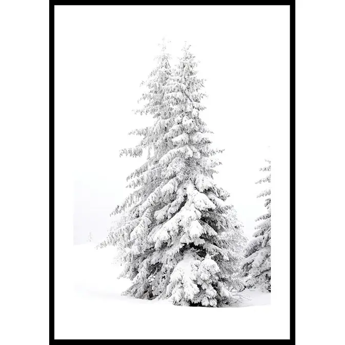 Poster Gallerix Snow Covered Pine Trees