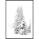 Poster Gallerix Snow Covered Pine Trees
