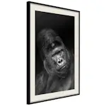 Poster Artgeist Affisch Gorilla