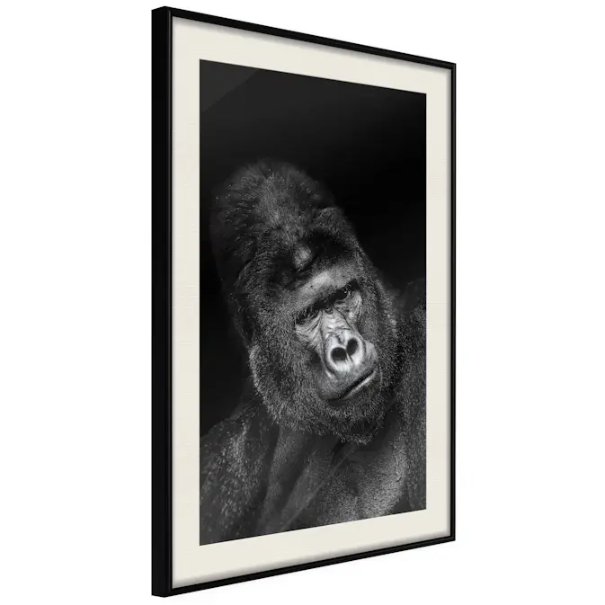 Poster Artgeist Affisch Gorilla