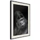 Poster Artgeist Affisch Gorilla