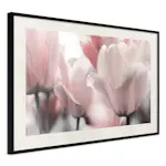 Poster Artgeist Affisch Fabulous Tulips