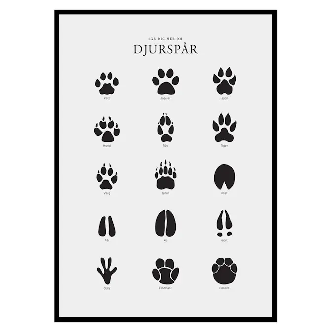 Poster Gallerix Djurspår