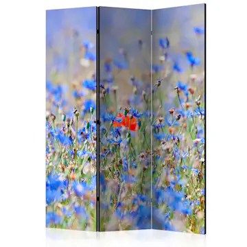 Rumsavdelare Skärmvägg Arkiio A Sky-Colored Meadow Cornflowers 135x172 cm