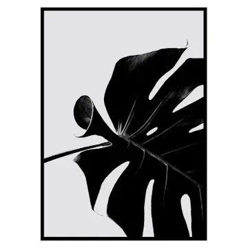 Poster Gallerix Monstera Black