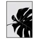 Poster Gallerix Monstera Black