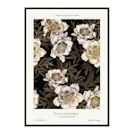 Poster Gallerix Pivoines Blanches