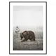 Poster Gallerix Winter Bear