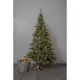 Plastgran Star Trading Ottawa LED