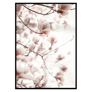 Poster Gallerix Pink Botanical Shades