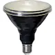LED-lampa Star Trading E27 PAR38 Spotlight Outdoor Svart