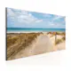 Tavla Arkiio Windy Beach