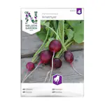 Frö Rädisa Nelson Garden Amethyst