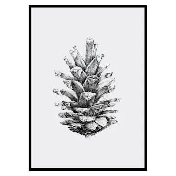 Poster Gallerix Sketched Spruce Cone