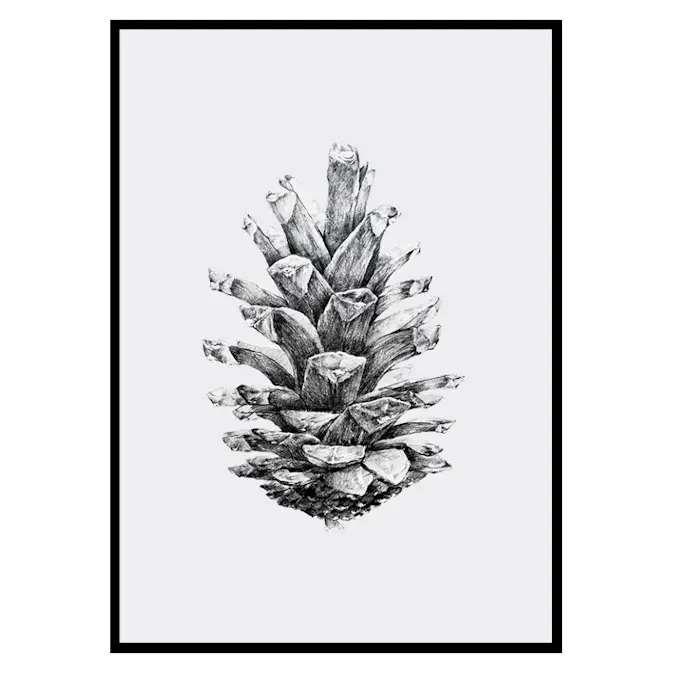 Poster Gallerix Sketched Spruce Cone