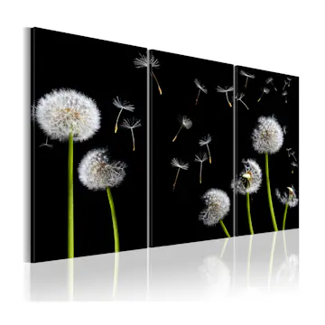 Tavla Arkiio Dandelions Family