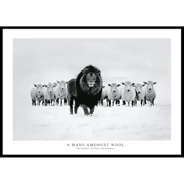 Poster Gallerix A Mane Amongst Wool