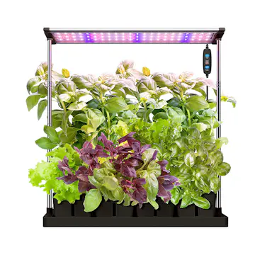 Hydroponisk Odlingslåda RobotGarden Med Startkit Svart