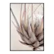 Poster Gallerix Protea Flower No2