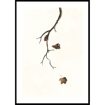 Poster Gallerix Autumn Leaves Falling