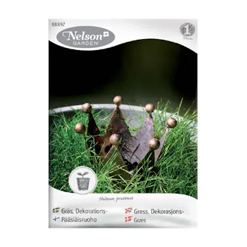 Frö Dekorationsgräs Nelson Garden Inomhus