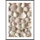 Poster Gallerix Coastal Seashell Medley
