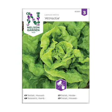 Frö Huvudsallat Nelson Garden Attractie