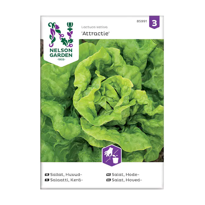 Frö Huvudsallat Nelson Garden Attractie