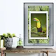 Poster Artgeist Affisch Toucan