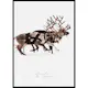 Poster Gallerix Santa Claus And Reindeer Part3