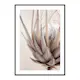 Poster Gallerix Protea Flower No2