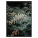 Poster Gallerix Fern No2