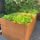 Odlingslåda Flexigarden Cortenplåt 2 mm 800x1200x600 mm