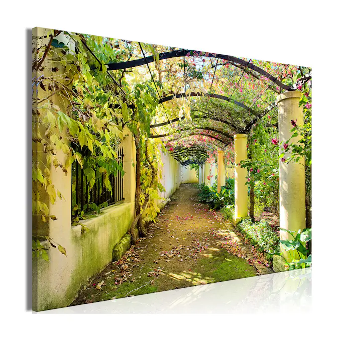 Tavla Arkiio Pergola