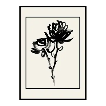 Poster Gallerix Black Flowers