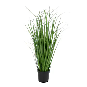 Konstväxt House Nordic Poa