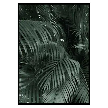 Poster Gallerix Palm Leaf No2