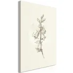 Tavla Arkiio Field Pattern