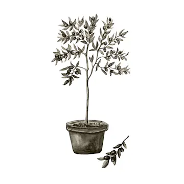 Posters Venture Home Olive Vit/grön