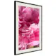 Poster Artgeist Affisch Beautiful Peonies