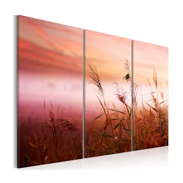 Tavla Arkiio A Silent Meadow