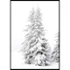 Poster Gallerix Snow Covered Pine Trees
