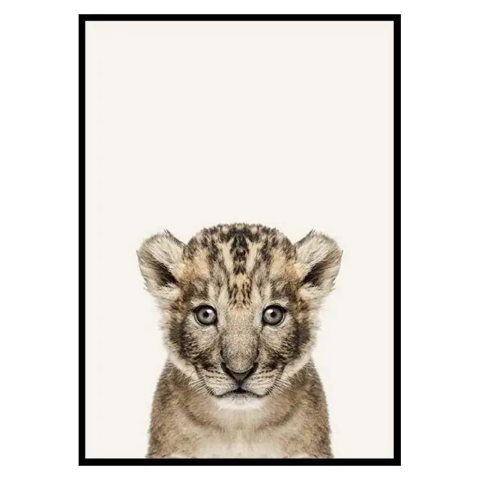 Poster Gallerix Baby Lion