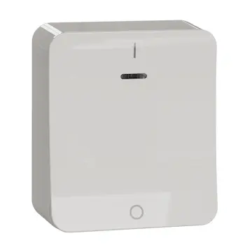 Strömbrytare Schneider Electric Exxact 2-pol Snabbanslutning